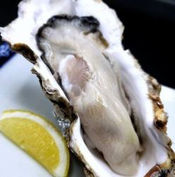 釧路　昆布森産　牡蠣(活・蒸)