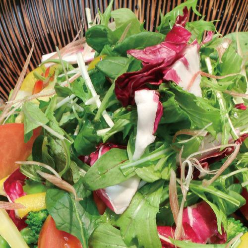 Own farm entrusted salad ~ 3 kinds of dressing to choose ~