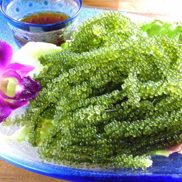 [Popular] Direct delivery!! Freshness is different! Sea grapes♪