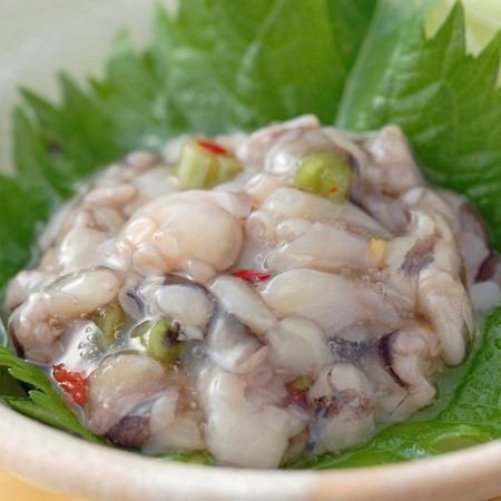 Octopus wasabi