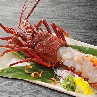 Directly from Mie! Ikizukuri with spiny lobster (1 whole fish)