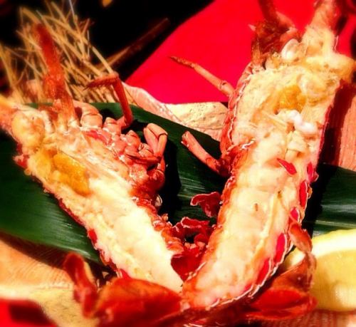 Grilled spiny lobster with butter