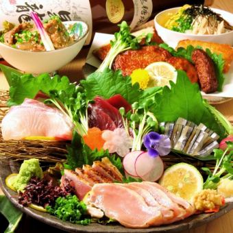 【薩摩名物】鮮魚と地鶏刺し&〆の鶏飯など8品…2H飲み放題付『極食う～郷土料理コース～』4500円