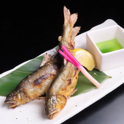 鮎の塩焼き2尾