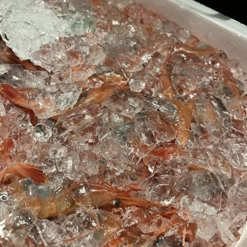 🌊✨新登場！海力の金沢甘海老🦐💖 
新鮮な甘みたっぷりの金沢産甘海老を贅沢に使用した限定メニューが登場！ぷりぷりの食感と旨みが自慢です😍🎉 
居酒屋海力でしか味わえない特別な一品をぜひお試しください🍶🍺 
写真映え間違いなし📸✨友達やご家族と楽しいひとときをお過ごしください🎶 

#海力 #金沢甘海老 #居酒屋 #新メニュー #ぷりぷり海老 #限定メニュー #旨みたっぷり #インスタ映え #美味しい時間 #日本酒に合う