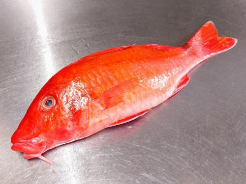 5月12日星期一，菜单页面“今日推荐”和“今日刺身”进行了更新。
https://shikinoajiokada.owst.jp/blogs/3438031
请看一下。
我们期待您的光临。
#长野县 #叔叔 #蓬莱姬路 #叔叔生鱼片 #蓬莱姬路生鱼片
#日本料理 #武藏浦和日本料理 #日本料理 #武藏浦和日本料理 #清酒 #武藏浦和清酒 #用汤料喝清酒 #与清酒搭配的零食 #没有吸引力的食物 #埼玉县 #埼玉市 #武藏浦和 #四季之味冈田 #可开具发票的商店