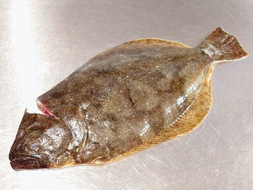 On Tuesday, May 13th, the menu pages "Today's Recommendation" and "Today's Sashimi" were updated.
https://shikinoajiokada.owst.jp/blogs/3438074
Please take a look.
I'm looking forward to seeing you again here.
#Niigata Prefecture #Flounder #Flounder Sashimi
#Japanese food #Musashiurawa Japanese food #Japanese cuisine #Musashiurawa Japanese cuisine #Sake #Musashiurawa sake #Drinking sake with dashi #Snacks that go well with sake #Unattractive food #Saitama Prefecture #Saitama City #Musashiurawa #Shiki no Aji Okada #Invoice-compatible store