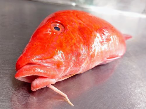 On Monday, May 12th, the menu pages "Today's Recommendation" and "Today's Sashimi" were updated.
https://shikinoajiokada.owst.jp/blogs/3438031
Please take a look.
I'm looking forward to seeing you again here.
#Nagano Prefecture #Uncle #Horaihimeji #Uncle sashimi #Horaihimeji sashimi
#Japanese food #Musashiurawa Japanese food #Japanese cuisine #Musashiurawa Japanese cuisine #Sake #Musashiurawa sake #Drinking sake with dashi #Snacks that go well with sake #Unattractive food #Saitama Prefecture #Saitama City #Musashiurawa #Shiki no Aji Okada #Invoice-compatible store