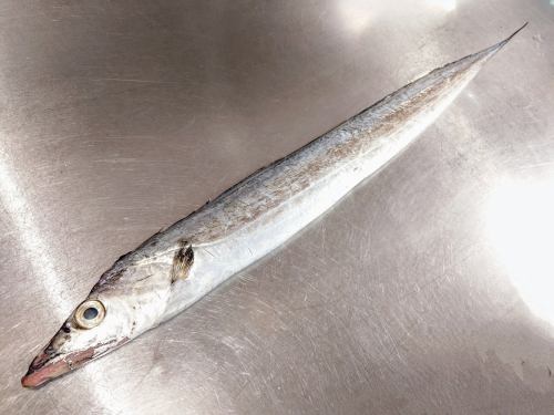 On Saturday, May 10th, the menu pages "Today's Recommendation" and "Today's Sashimi" were updated.
https://shikinoajiokada.owst.jp/blogs/3437939
Please take a look.
I'm looking forward to seeing you again here.
#Chiba Prefecture #hairpinfish #hairpinfish sashimi
#Japanese food #Musashiurawa Japanese food #Japanese cuisine #Musashiurawa Japanese cuisine #Sake #Musashiurawa sake #Drinking sake with dashi #Snacks that go well with sake #Unattractive food #Saitama Prefecture #Saitama City #Musashiurawa #Shiki no Aji Okada #Invoice-compatible store