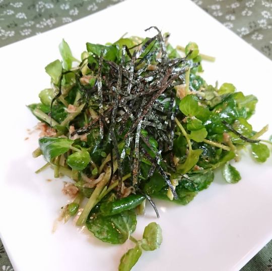 【生産者のこだわりがつまった】浜名湖クレソンのサラダ（静岡）