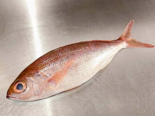 On Thursday, September 4th, the menu pages "Today's Recommendations" and "Today's Sashimi" were updated.
https://shikinoajiokada.owst.jp/blogs/3444186
Please take a look.
I'm looking forward to seeing you again here.
#Nagasaki Prefecture #Princess Snapper #Princess Snapper #Princess Snapper Sashimi
#Sashimi #Musashiurawa Sashimi #Japanese Food #Musashiurawa Japanese Food #Japanese Food #Musashiurawa Japanese Food #Sake
#Musashiurawa sake #Drinking sake with dashi #Snacks that go well with sake #Unglamorous food #Saitama Prefecture
#Saitama City #Musashiurawa #Four Seasons Tastes Okada #Invoice Accepted Store