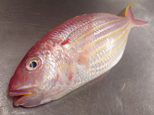 11 月 6 日星期四，“今日推薦”和“今日生魚片”菜單頁面進行了更新。
請看一下。
我們期待您的光臨。
季節的味道 岡田
https://shikinoajiokada.owst.jp/blogs/3447402