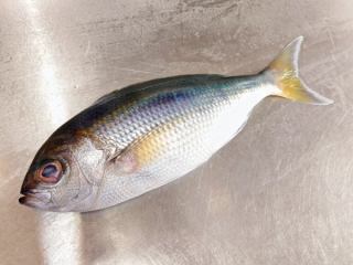 １２月２０日（土）の更新情報