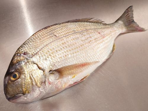 １２月１８日（木）、メニューページ「本日のおすすめ」・「本日の刺身」を更新しました。
是非、ご覧ください。
皆様のご来店お待ちしております。
四季の味　岡田
https://shikinoajiokada.owst.jp/blogs/3449398