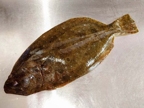 On Wednesday, December 24th, the menu pages "Today's Recommendations" and "Today's Sashimi" were updated.
Please take a look.
I'm looking forward to seeing you again here.
Taste of the Seasons Okada
https://shikinoajiokada.owst.jp/blogs/3449633