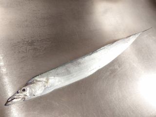 1月9日(金)の更新情報