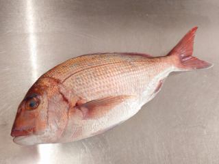 1月10日(土)の更新情報