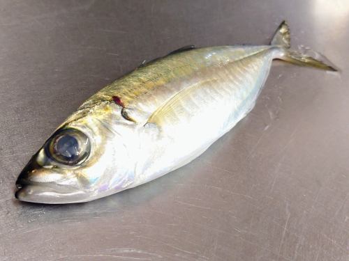 1月6日(火)、メニューページ「本日のおすすめ」・「本日の刺身」を更新しました。
是非、ご覧ください。
皆様のご来店お待ちしております。
四季の味 岡田
https://shikinoajiokada.owst.jp/blogs/3450156