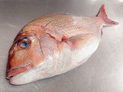 On Saturday, January 10th, the menu pages "Today's Recommendations" and "Today's Sashimi" were updated.
Please take a look.
I'm looking forward to seeing you again here.
Taste of the Seasons Okada
https://shikinoajiokada.owst.jp/blogs/3450325