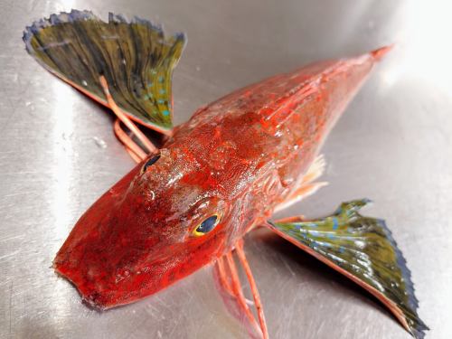 ２月９日（月）、メニューページ「本日のおすすめ」・「本日の刺身」を更新しました。
是非、ご覧ください。
皆様のご来店お待ちしております。
四季の味　岡田
https://shikinoajiokada.owst.jp/blogs/3451658