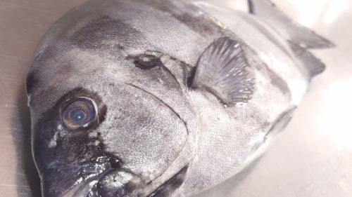 ３月２１日（土）、メニューページ「本日のおすすめ」・「本日の刺身」を更新しました。
是非、ご覧ください。
皆様のご来店お待ちしております。
四季の味　岡田
https://shikinoajiokada.owst.jp/blogs/3454031