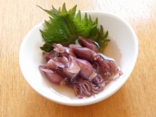 ４月９日（木）の更新情報