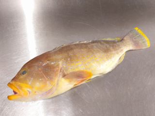 ４月１０日（金）の更新情報