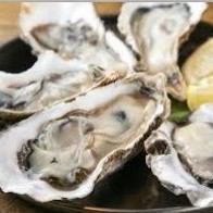 [Recommended] Large oysters!