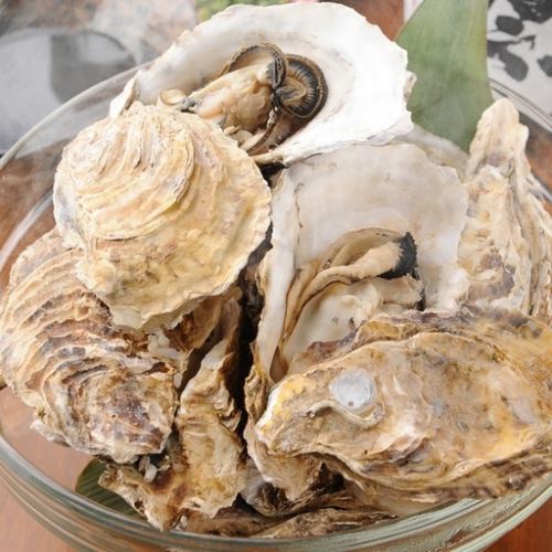 Large steamed oysters (2 pieces)