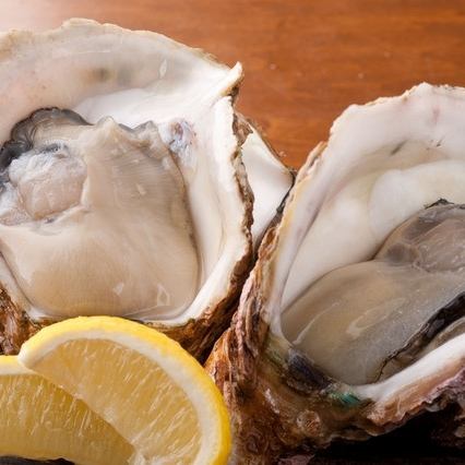 Delicious...!! Large raw oysters (1 piece)