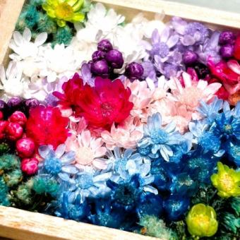 ☆お花に囲まれて、箱庭制作とティーフリー２時間飲み放題コース☆