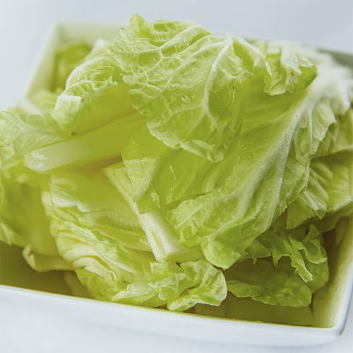 Chinese cabbage