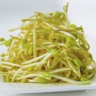 Bean sprouts