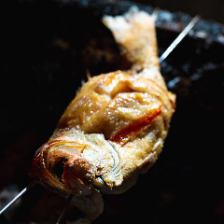 [Specialty Grilled Blackthroat Seaperch Course with Sanin Local Sake] 7,500 yen course with 10 dishes and 2.5 hours of all-you-can-drink