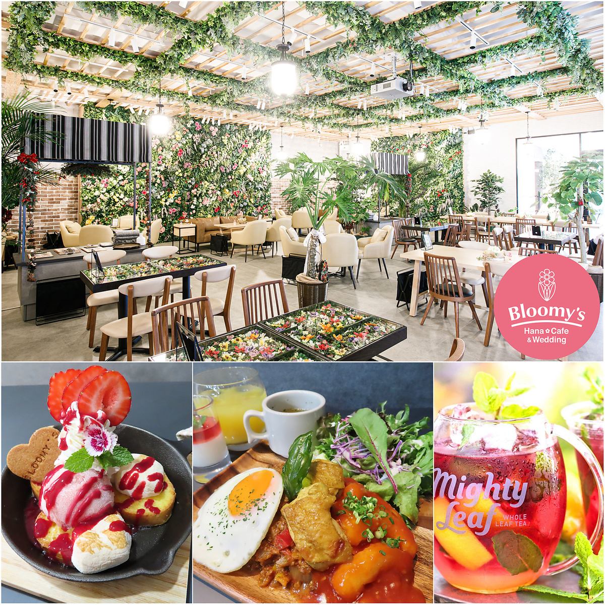 [Designer's space surrounded by flowers and greenery] Delicious lunch and relaxing space
