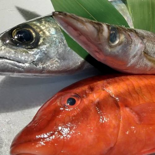 鮮魚が美味い！