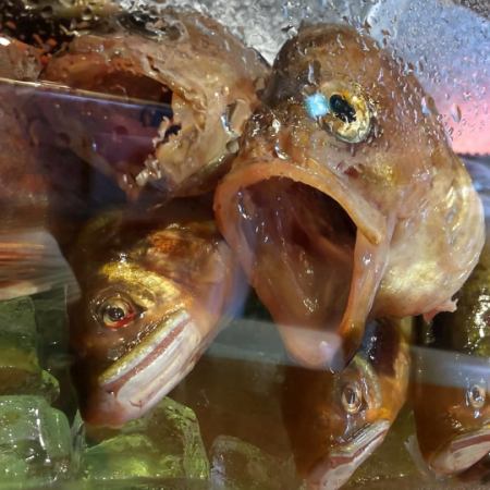 ◆120分飲み放題付き 10,000円コース