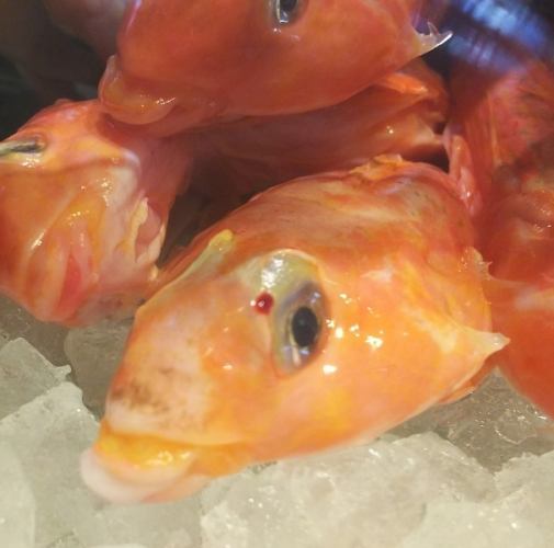 <宴会料理>3,000円コース◇デザート付◇