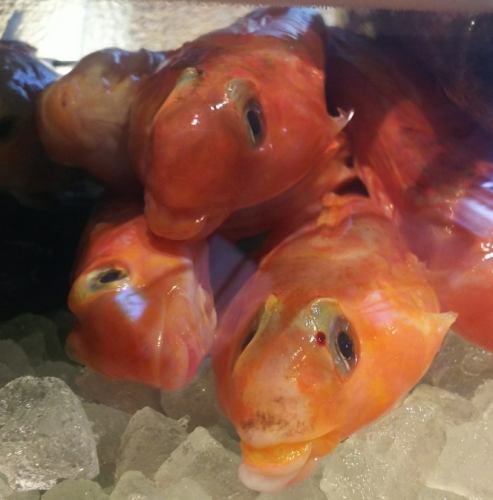 ＜宴会料理＞4，５００円コース ◇デザート付◇