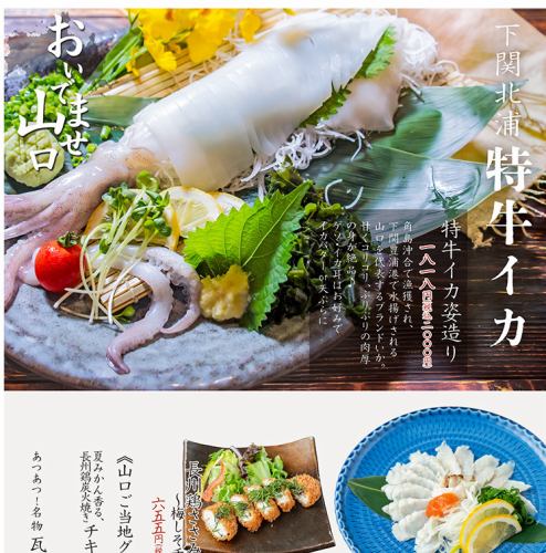 특규 오징어의 모습