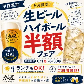 🍺平日限定！生ビール・ハイボール半額フェア開催🍺