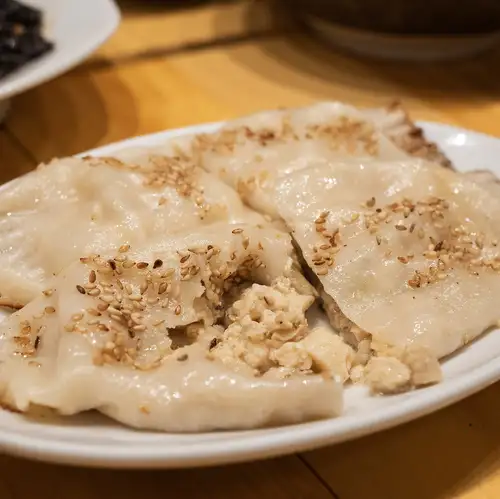 ネギ豆腐の焼き餃子