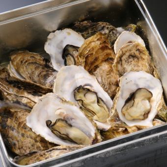 <8月/9月>焼牡蠣と牛ステーキコース【120分生ビール込飲み放題付】