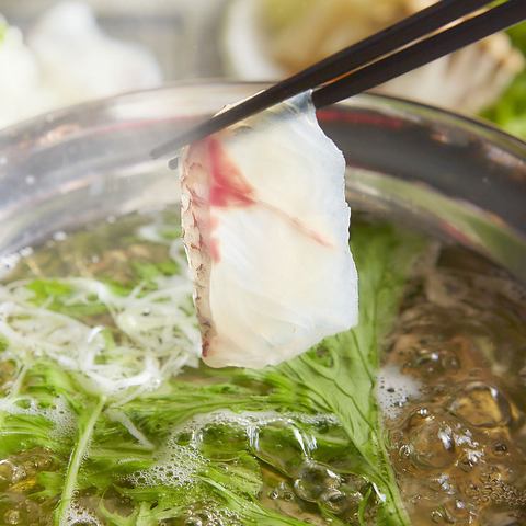 Fresh red sea bream shabu-shabu