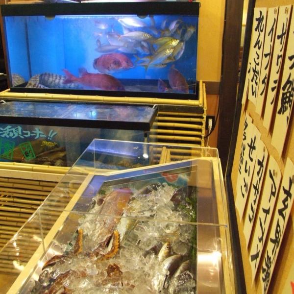 ぷりっぷり活きた魚をお店でさばきます!!そこにも負けない鮮魚をご堪能して頂けます♪