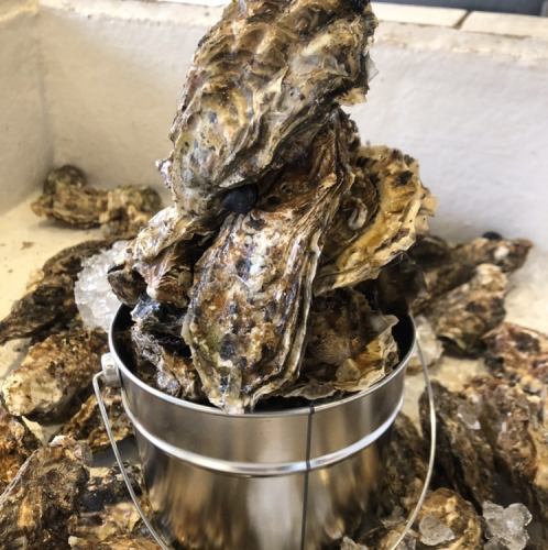 Bucket of specialty oysters!