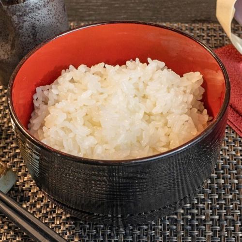 白ごはん (中)