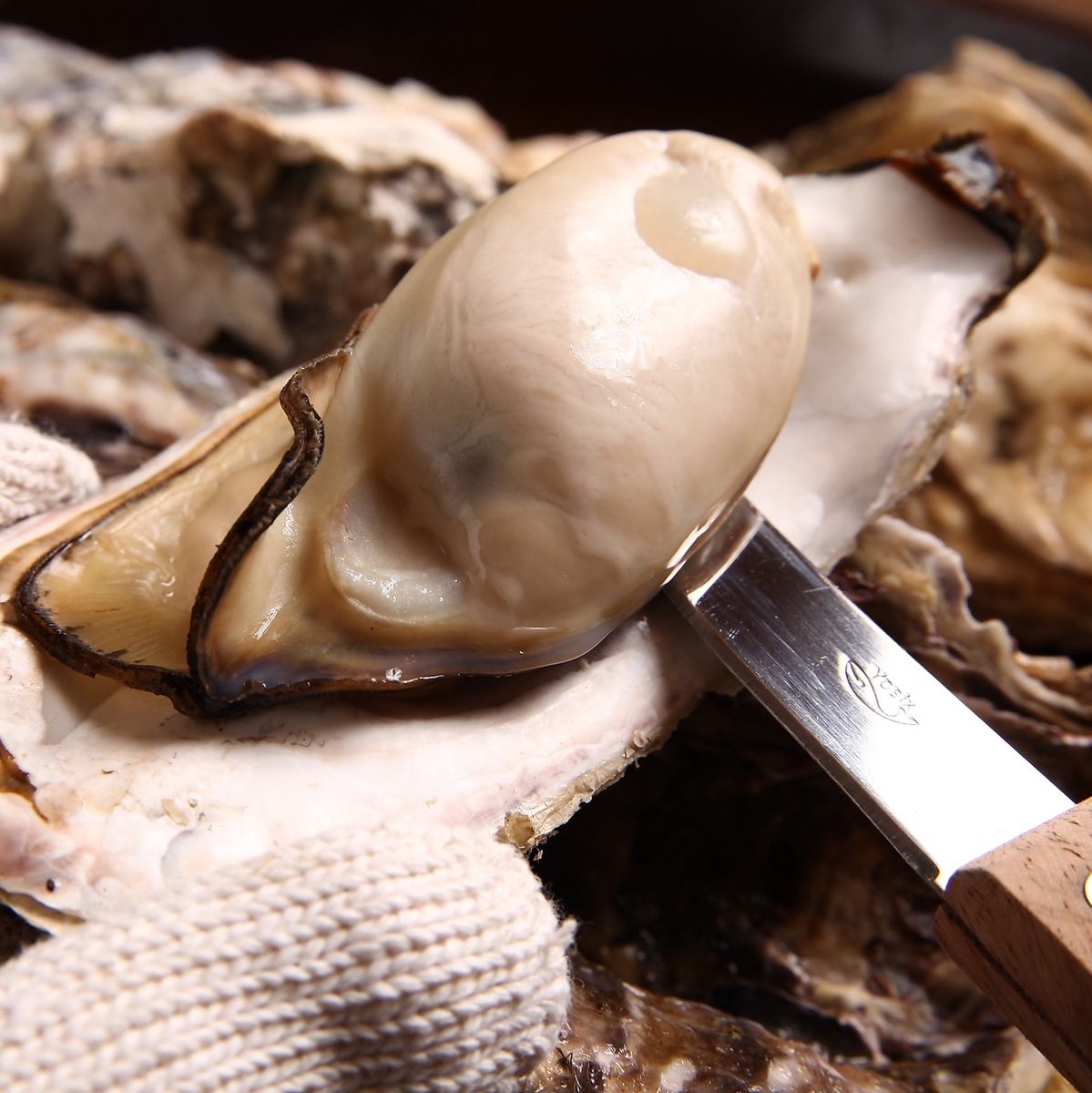 卓上コンロで焼き上げる「焼き牡蠣」街中なのに牡蠣小屋にいる感じで、熱々の牡蠣を味わえる