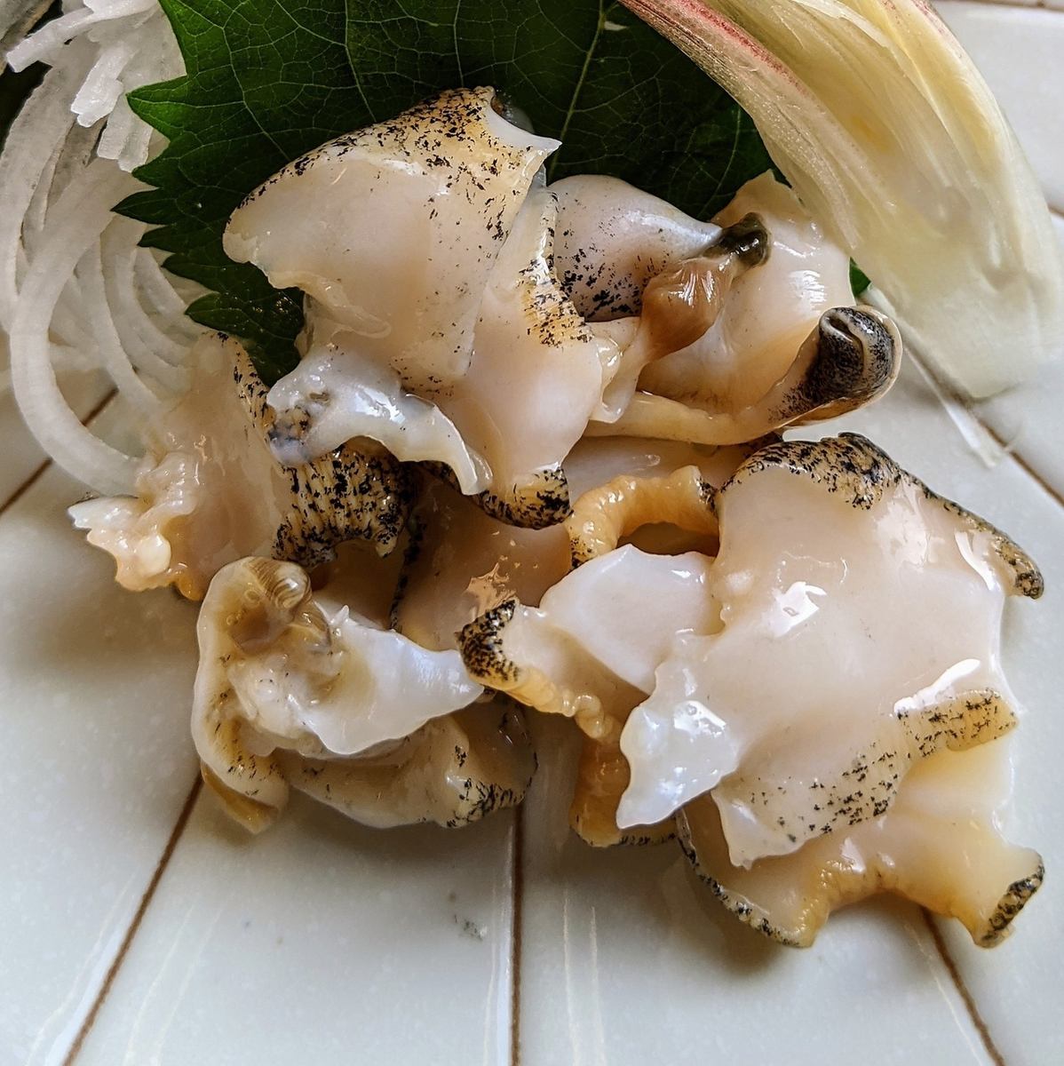 コリコリ食感がたまらない、ツブ貝の刺身