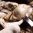 牡蛎风味的新鲜牡蛎
